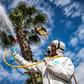 A Moroccan health ministry worker disinfects a street in the capital Rabat to combat the spread of coronavirus