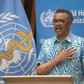 The WHO's chief Tedros Adhanom Ghebreyesus said that on May 19, 2020 (pictured), there were "106,000 cases reported to WHO -- the most in a single day since the outbreak began"