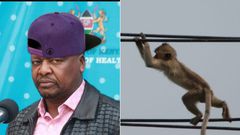 Funny memes Kenyans are sending after Kenya Power, Umeme Uganda announced nationwide power outages