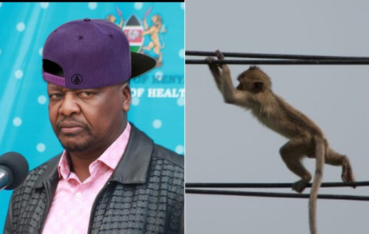 Funny memes Kenyans are sending after Kenya Power, Umeme Uganda announced nationwide power outages