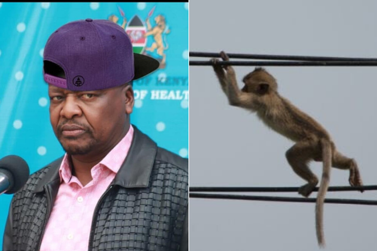 Funny memes Kenyans are sending after Kenya Power, Umeme Uganda announced nationwide power outages