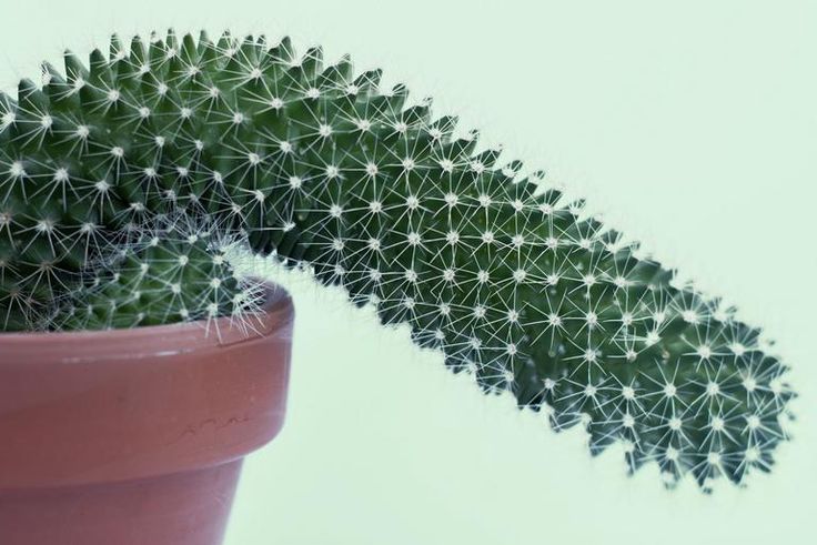 'I Have E.D., And Here's What I Want You To Know'