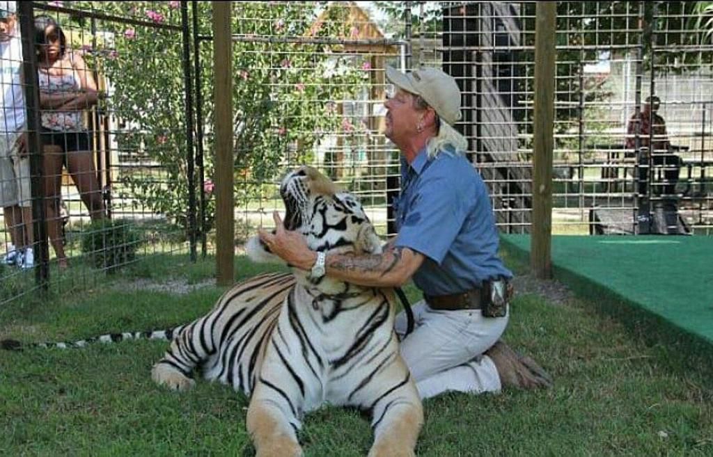 40 Things You Probably Didn't Know About 'Tiger King'