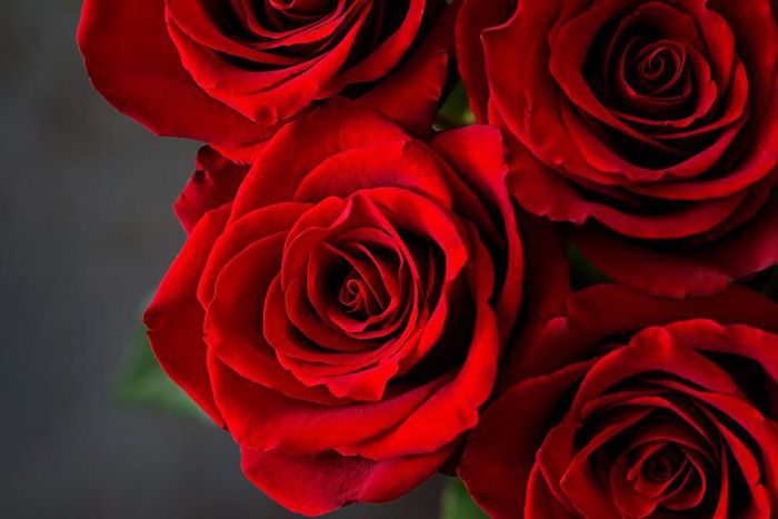 Dr. P Just Removed A Rose-Shaped Cyst