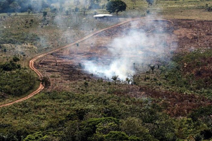 A handout picture from Colombia's Defence Ministry shows smoke billowing from the Sierra de La Macarena National Natural Park, Colombia, in 2019. The Latin America country has lost hundreds of thousands of hectares of forest in recent years