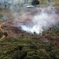 A handout picture from Colombia's Defence Ministry shows smoke billowing from the Sierra de La Macarena National Natural Park, Colombia, in 2019. The Latin America country has lost hundreds of thousands of hectares of forest in recent years