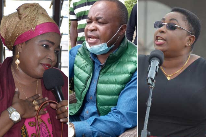 NASA coalition MPs Mishi Mboko, Chris Wamalwa and Aisha Jumwa affected in changes to National Assembly leadership