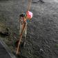 A child is seen in Karachi, Pakistan -- the majority of children at risk of poverty live in South Asia and sub-Saharan Africa, but the coronavirus pandemic will see a surge in Europe and Central Asia, a study shows