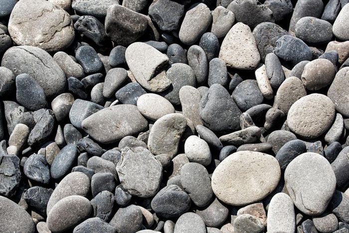 Dr. Pimple Popper Pops A Trio Of Pebble Blackheads