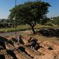 Grave diggers prepare plots at the San Vicente cemetery in Cordoba following a spike in coronavirus cases