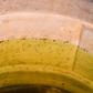 A discolored container of drinking water seen layered with  insects and larvae in the indigenous community of Mision Chaquena, near the town of Embarcacion in Argentina's Salta province