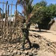 Northern Mozambique has suffered a string of deadly attacks by a shadowy jihadist group since October 2017. Pictured: the aftermath of a raid on the village of Naunde in June 2018 in which seven people were hacked to death and 164 homes torched