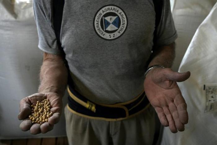 Soya beans are one of Argentina's major exports, alongsiude soya flour and soya oil, where the South American country is the world leader