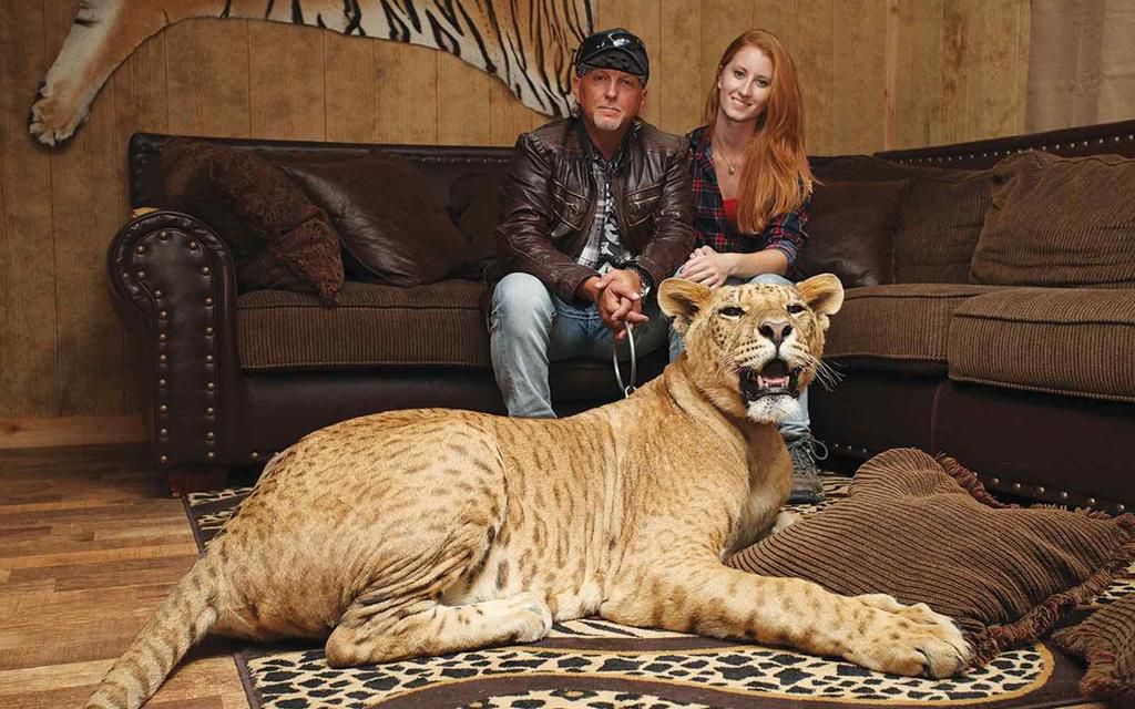 40 Things You Probably Didn't Know About 'Tiger King'
