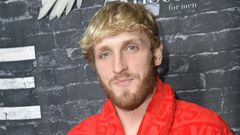 Logan Paul Got KO'd by UFC Fighter Paulo Costa