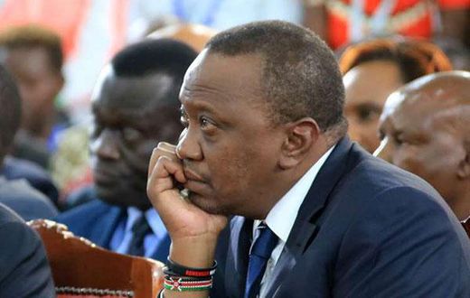 It's like having 15 husbands -  President Uhuru Kenyatta's healthcare advisor, Dr Wangari Ng'ang'a speaks on her job
