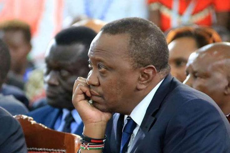 It's like having 15 husbands -  President Uhuru Kenyatta's healthcare advisor, Dr Wangari Ng'ang'a speaks on her job