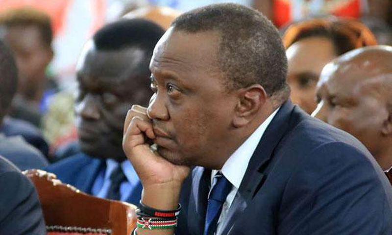 It's like having 15 husbands -  President Uhuru Kenyatta's healthcare advisor, Dr Wangari Ng'ang'a speaks on her job