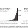 A Month of Coronavirus in New York City: No Neighborhood Is Spared
