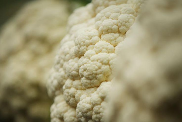 Dr. Pimple Popper Pops a 'Cauliflower' Blackhead