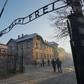 The Auschwitz museum is appealing for financial aid after the virus lockdown 'collapsed' the annual budget