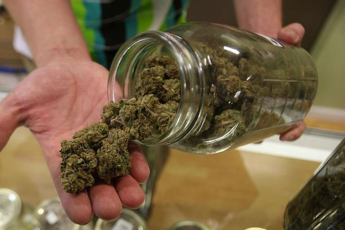 Dr. Pimple Popper Pulls 'Weed' From a Blackhead