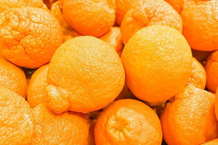 Dr. Pimple Popper Yanks Out Juicy Rib Cage Lipoma