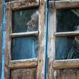 Kashmiri residents watch from their window near the site of a gun battle between suspected militants and Indian government forces on May 19, 2020 in the main city of Srinagar