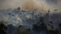 Smoke rises from forest fires in Altamira, in Brazil's Amazon region, in August 2019