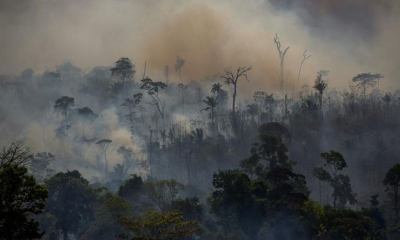Smoke rises from forest fires in Altamira, in Brazil's Amazon region, in August 2019