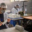 Some one hundred inmates in around 20 Moroccan prisons are making 20,000 masks a day