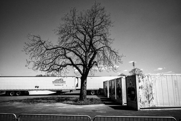 The Coronavirus in America: The Year Ahead