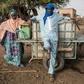 Months of government restrictions on movement designed to curb the coronavirus have coincided with the hardest months of the dry season