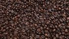 Dr. Pimple Popper Popped a 'Coffee Bean' Blackhead