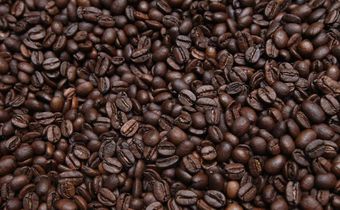 Dr. Pimple Popper Popped a 'Coffee Bean' Blackhead