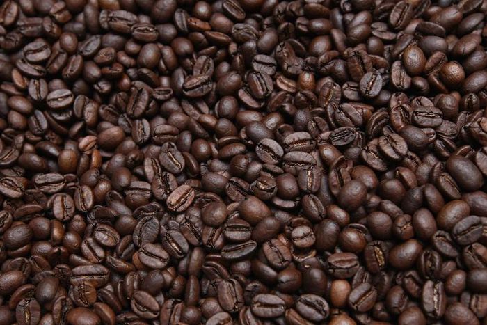 Dr. Pimple Popper Popped a 'Coffee Bean' Blackhead