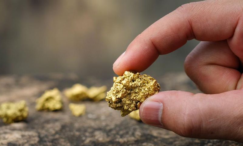 Watch Dr. P Pop Blackhead 'Gold Mine'