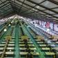 Bangladesh has prepared a massive makeshift hospital to treat coronavirus patients