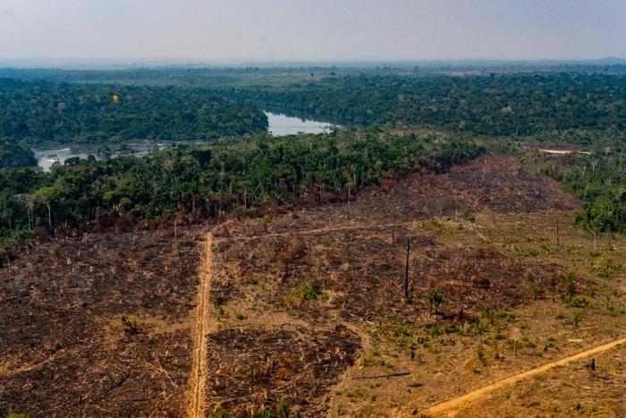 This photo from the state of Mato Grosso shows deforestation in the Amazon basin in the municipality of Colniza on August 29, 2019
