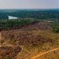 This photo from the state of Mato Grosso shows deforestation in the Amazon basin in the municipality of Colniza on August 29, 2019