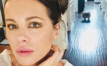 Watch Kate Do Yoga With Her Cat And Dog