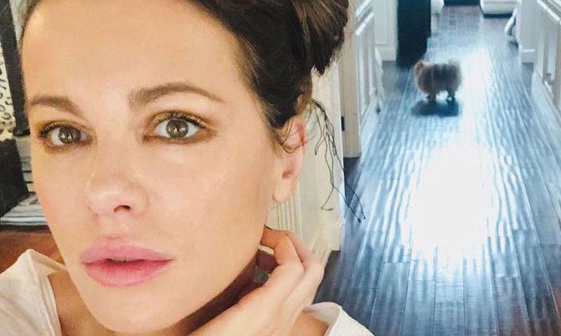 Watch Kate Do Yoga With Her Cat And Dog