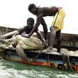 Senegalese fishermen rescue a sea turtle from their nets and return it to the sea