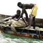 Senegalese fishermen rescue a sea turtle from their nets and return it to the sea