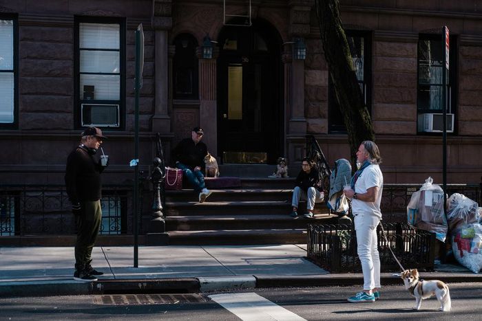 New York's Changed Streets: In One Spot, Traffic Speeds Are Up 288%