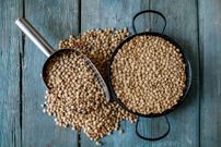 The 10 Best Anti-Inflammatory Foods to Eat Daily