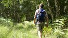 Best Tick Repellent