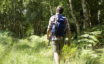 Best Tick Repellent