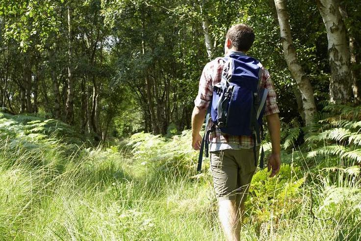 Best Tick Repellent