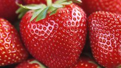 Dr. Pimple Popper Pops Blackheads on a Berry Nose